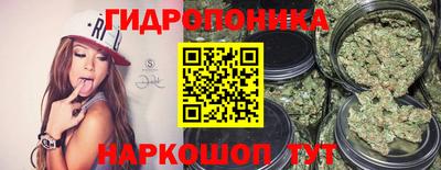 кокс Нарткала