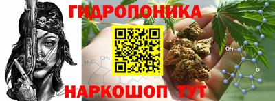 кокс Нарткала
