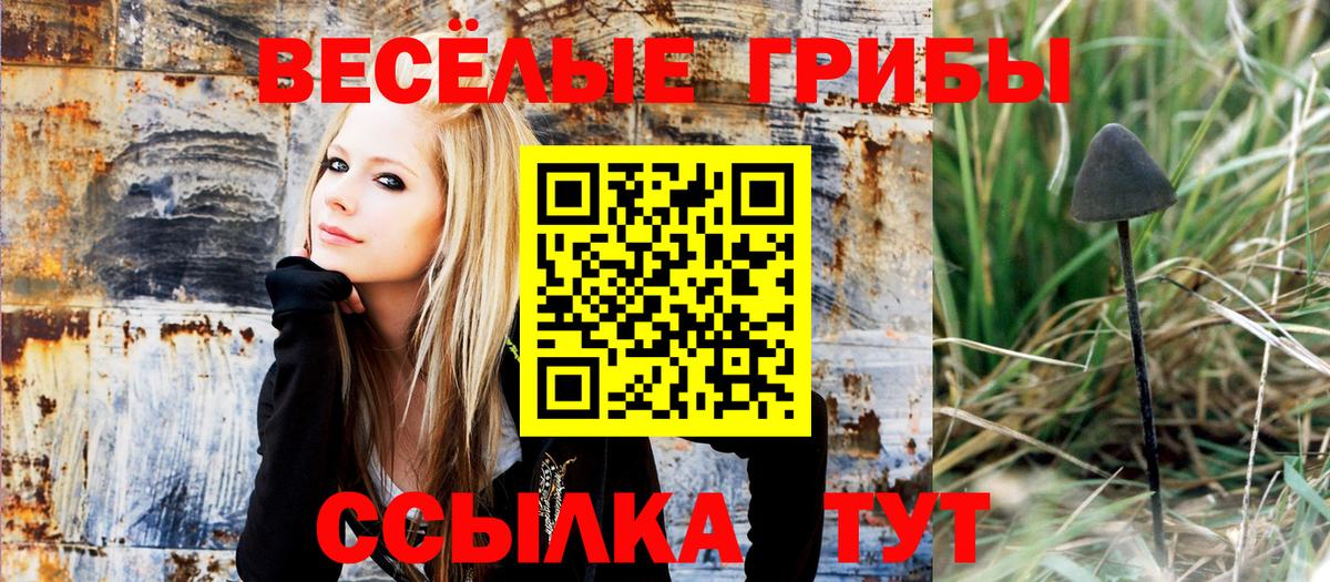Узловая  Галлюциногенные грибы мухоморы  Вход с VPN 