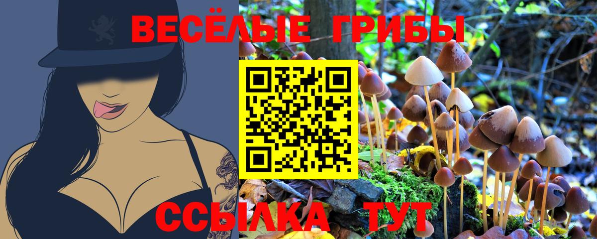 Галлюциногенные грибы ЛСД Узловая